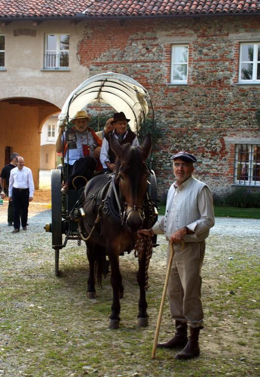 Agriturismo Camisassi ซาลุซโซ ภายนอก รูปภาพ